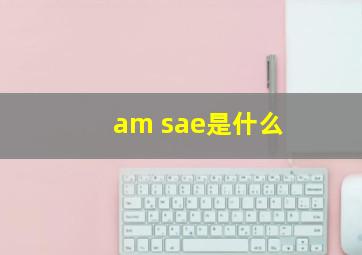 am sae是什么